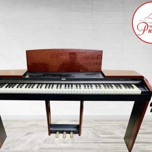 1630155255 mau phong nen 1 min 3