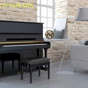 Mua đàn Piano Cơ