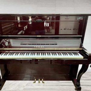 1631496212 mau phong nen 1 2 recovered recovered recovered