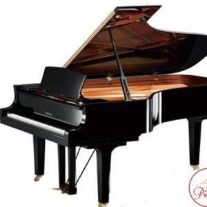 1631503918 g3e. min 1