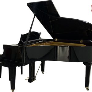 1631505816 apolo min