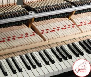 1631538652 kawai gx 1 chieu dai phim tang min