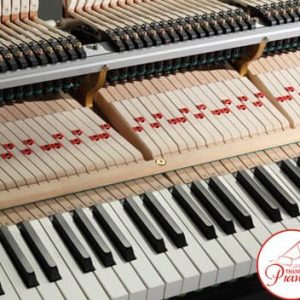 1631538652 kawai gx 1 chieu dai phim tang min