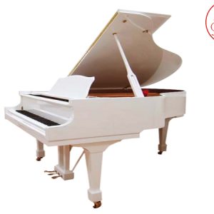 1631539671 kig 48d white