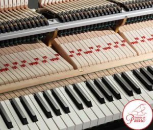 1631539703 kawai gx 1 chieu dai phim tang min