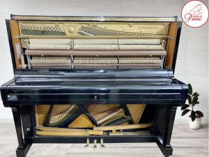 1632024764 lester . min