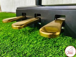 ab25db6644618c3fd570