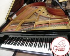 grand piano diapason no183 1508
