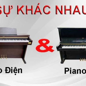 PIANO CƠ VÀ PIANO ĐIỆN KHÁC NHAU THẾ NÀO