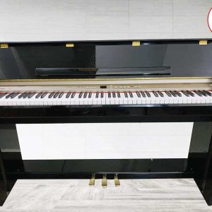 mau phong nen 1 3 Recovered Recovered Recovered Recovered 1