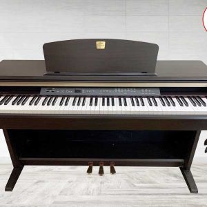 mau phong nen 1 3 Recovered Recovered Recovered Recovered Recovered 1