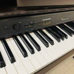 piano dien casio px1200 1745 2