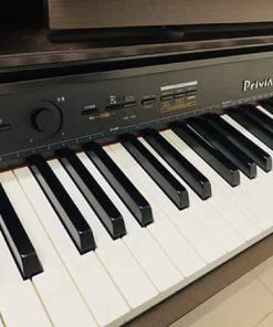 piano dien casio px1200 1745 2