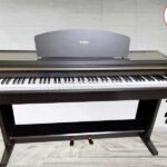 CLP920