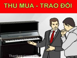 THU MUA 1