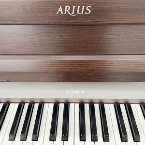 f2cae3568b8b56d50f9a