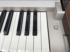 f62119bc7161ac3ff570