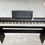 mau phong nen 1 3 Recovered Recovered Recovered Recovered Recovered Recovered Recovered Recovered