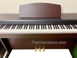 mp101 1