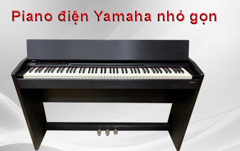 nho gon