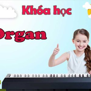 Khóa Học Organ