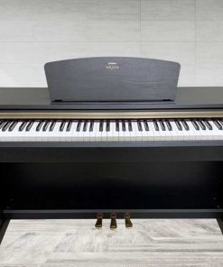 ydp61