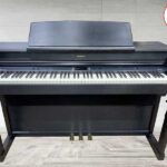 HP 207