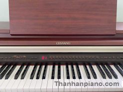 ap500..