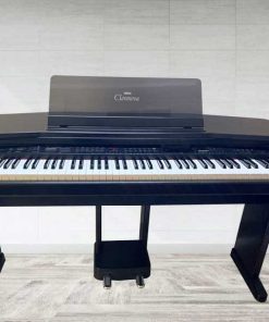 cvp55