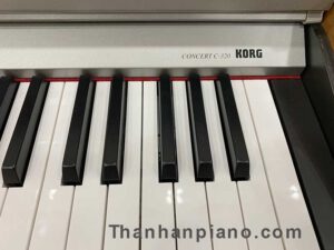 ee12a5f986264c781537