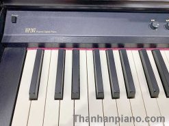 hp207 1