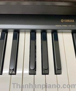 ydp101 1