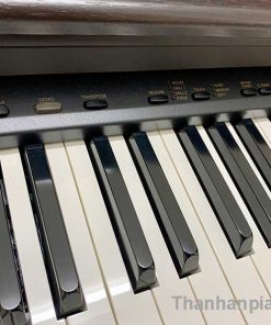 ydp101