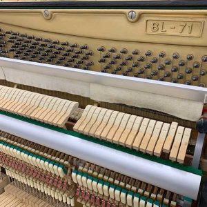 a2b65c4900a8cdf694b9