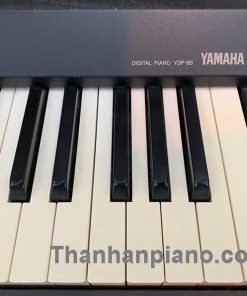 ydp88 1