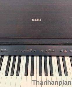ydp88..