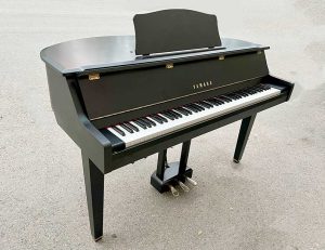 12d91e4869eea5b0fcff