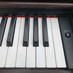 5ea072f186774a291366