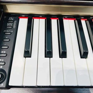 2c8b44a31cd5d38b8ac4