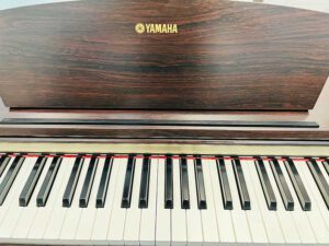 923c49121164de3a8775