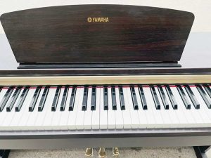 e15827c5e08b2fd5769a