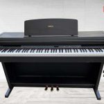 ydp301