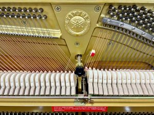 2f84ab410f54ce0a9745