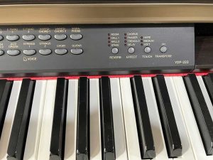 945814b542a080fed9b1