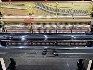 ac0fcacc6ed9af87f6c8 1