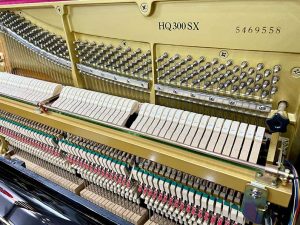 c0317ef0dae51bbb42f4