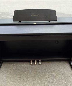 c303 1