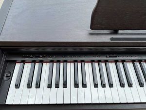 cc66709ca18c61d2389d