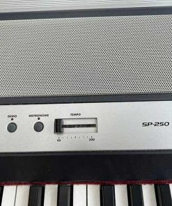 26251e29998d59d3009c