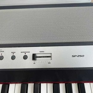 26251e29998d59d3009c